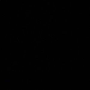 Meet your Posher, Bandita